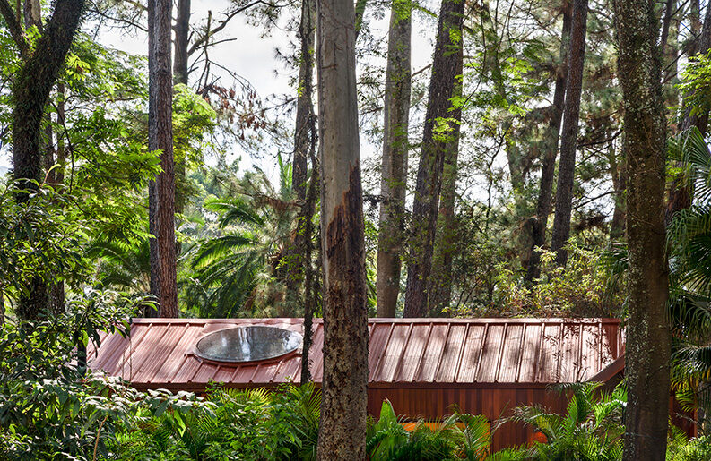 CASACOR São Paulo 2026. Un refugio contemporáneo en diálogo con la naturaleza 