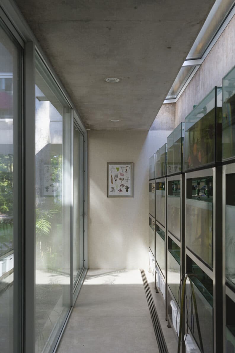 Casa Eucalipto by Julia Yako, Laura Marino