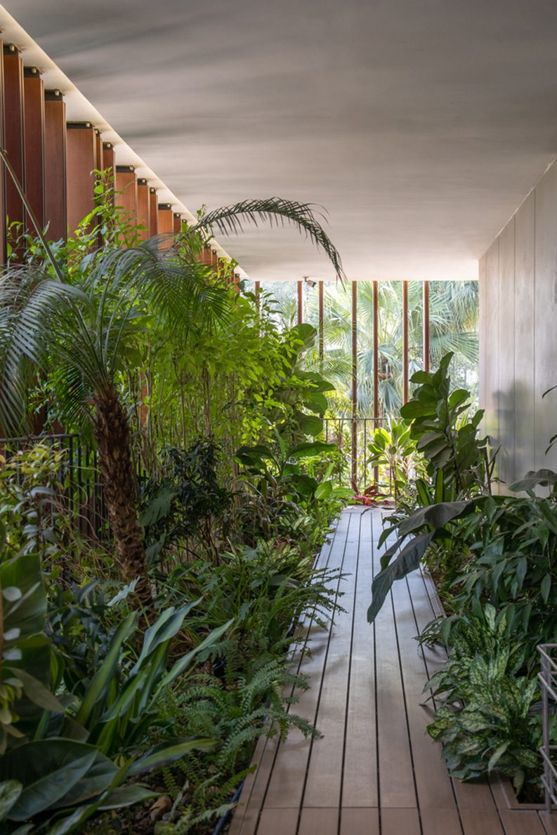 Casa Tropical 2 by ARO studio