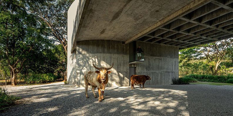 Casa W II by IDIN Architects