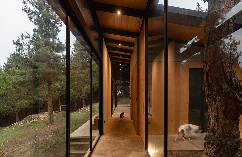 Casa del Bosque, Abel Guzman Larriva, Juan Vintimilla