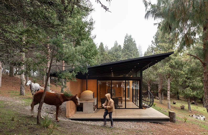 Casa del Bosque, Abel Guzman Larriva, Juan Vintimilla