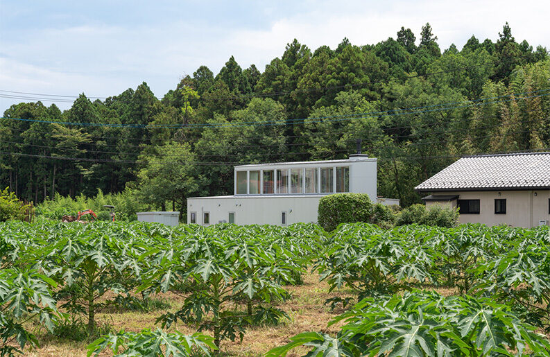 Casa del Vacío by IGArchitects