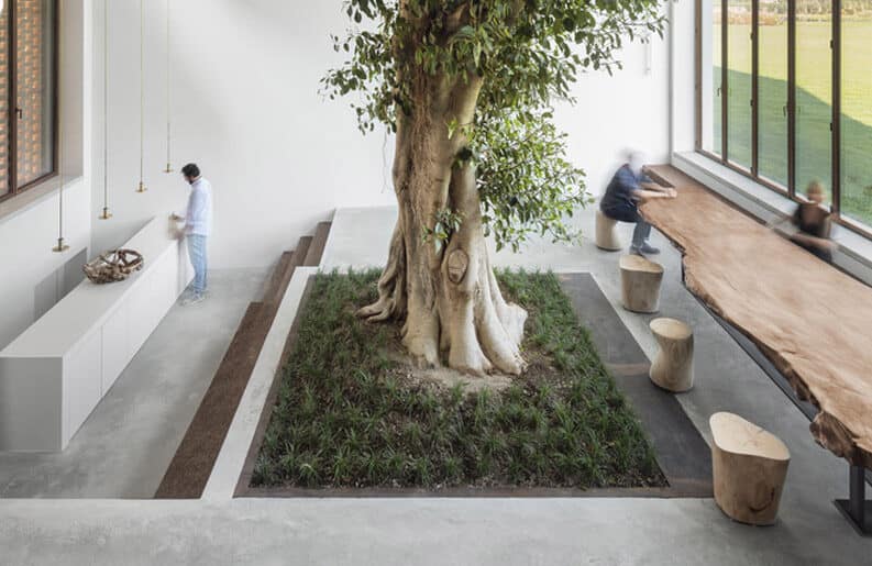 <b>Vivir adentro afuera.</b> El diseño biofílico como nueva forma de habitar el hogar en 2026