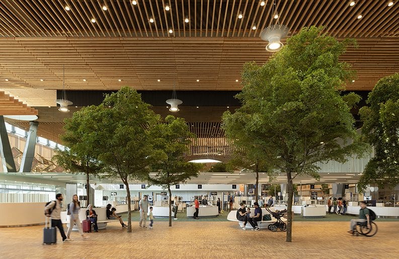 Diseño biofílico - El aeropuerto de Portland